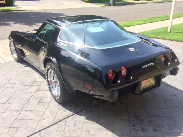 1978 Chevrolet Corvette LOW MILES 19,000 ACTUAL GARAGED LIKE NEW - photo 3