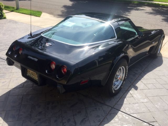 1978 Chevrolet Corvette LOW MILES 19,000 ACTUAL GARAGED LIKE NEW - photo 5