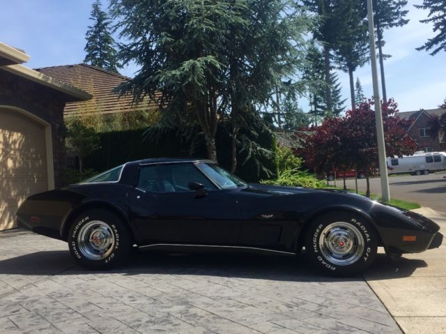 1978 Chevrolet Corvette LOW MILES 19,000 ACTUAL GARAGED LIKE NEW - photo 6