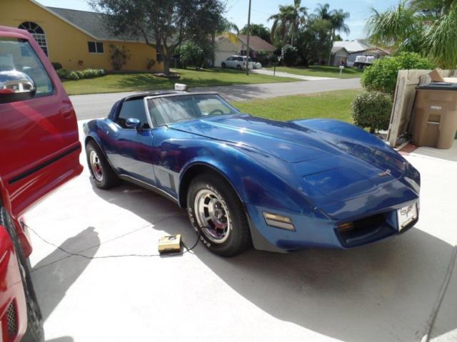 1980 Chevrolet Corvette Targa with T-Tops - photo 8