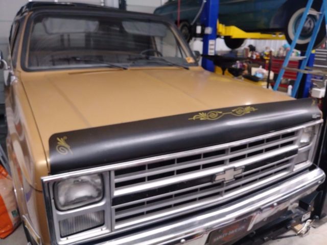 1980 Chevrolet Other Pickups - photo 2