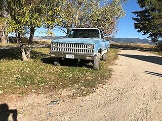 Chevrolet pickup half ton 4x4 1981 Chevrolet Other Pickups