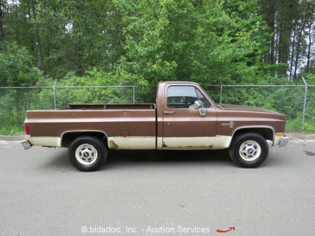 1981 Chevrolet Scottsdale C20 - photo 5