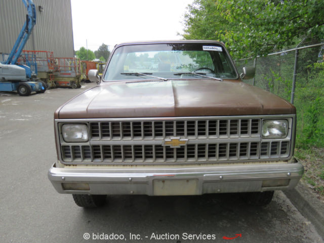 1981 Chevrolet Scottsdale C20 - photo 7