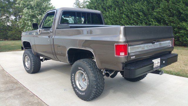 1979 Chevrolet Other Pickups SCOTTSDALE - photo 10