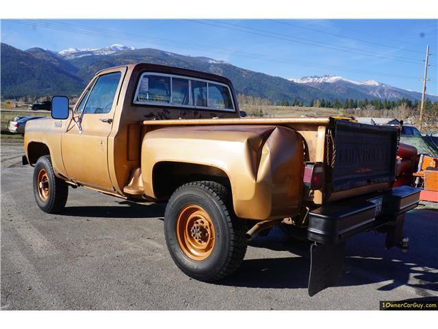 1979 Chevrolet C/K 4x4 Stepside K20 K30 396 & 700R4 3500 Stepside - photo 10