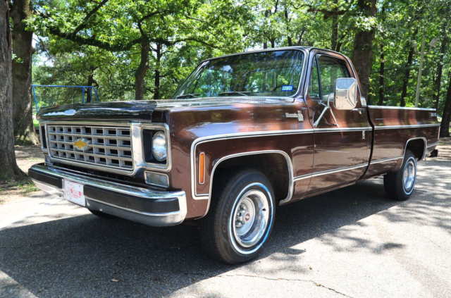 Chevy big 10 ONE FAMILY OWNED ALL ORIGINAL NEW TIRES LOW LOW MILES!!! 1978 Chevrolet Other