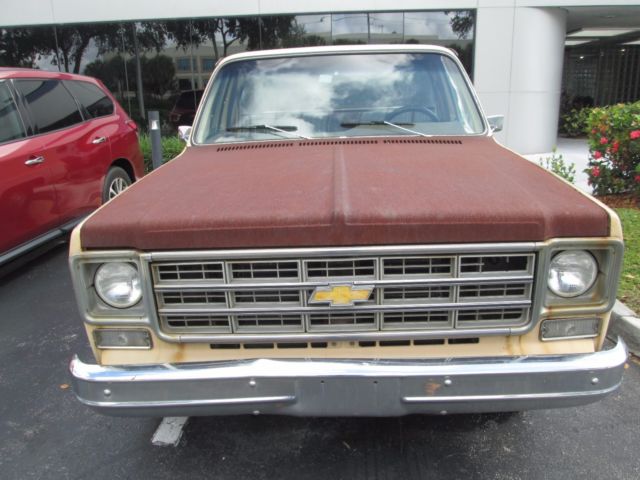 1978 Chevrolet C-10 tan white - photo 2
