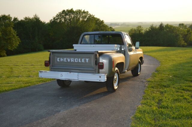 1978 Chevrolet C-10 - photo 6