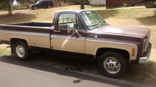 1977 Chevrolet C/K Pickup 1500 Cheyenne - photo 3
