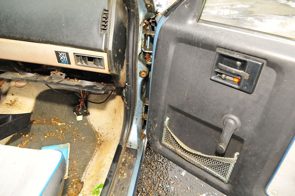 1985 Chevrolet Citation II - photo 11