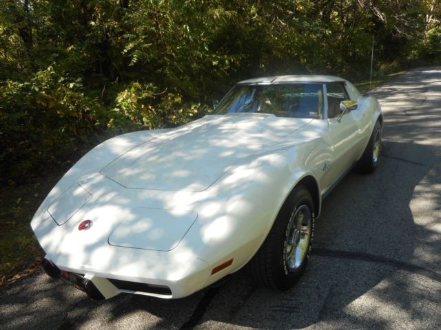 1976 Chevrolet Corvette COUPE - photo 2