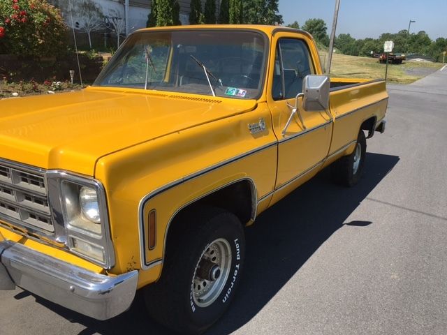 1979 Chevrolet C/K Pickup 1500 - photo 3