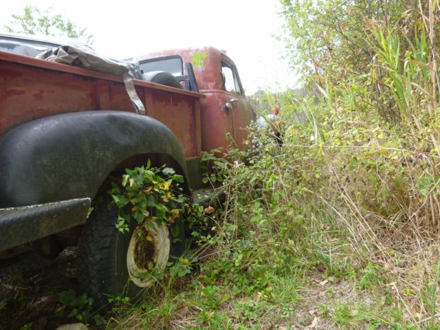 1953 GMC 100 - photo 2