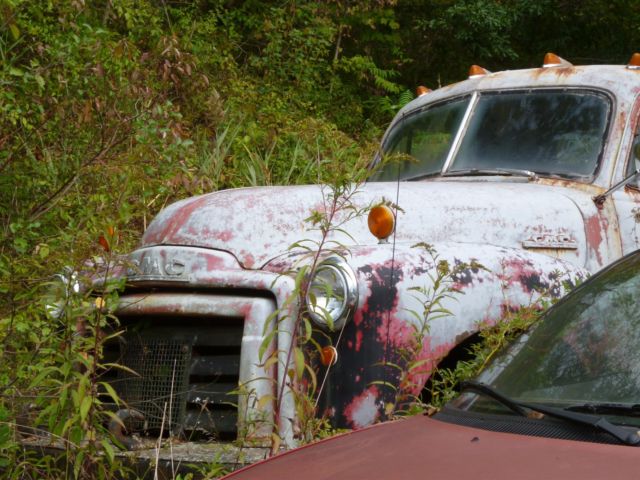 1953 GMC 100 - photo 3
