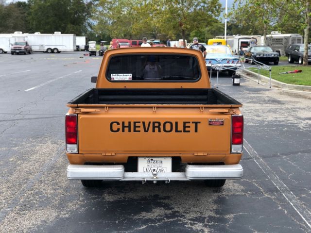 1977 Chevrolet Other Pickups - photo 8
