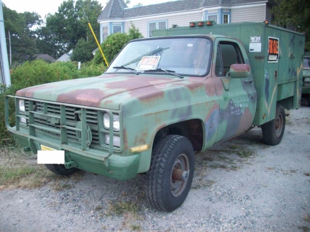 1986 Chevrolet Other Pickups