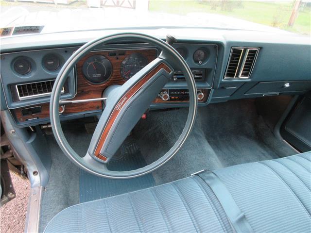 1976 Chevrolet Monte Carlo 100 pics! - photo 10