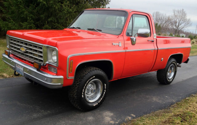 1976 Chevrolet Other Pickups - photo 3