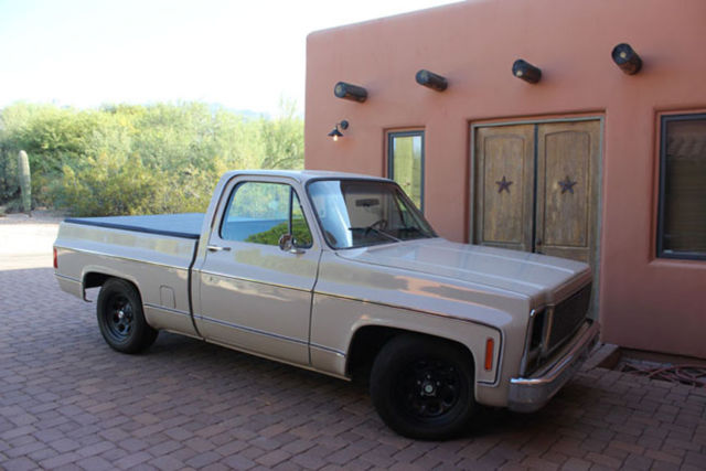 Chevy pickup - 1979 C10 freshened up professionally 1979 Chevrolet C-10