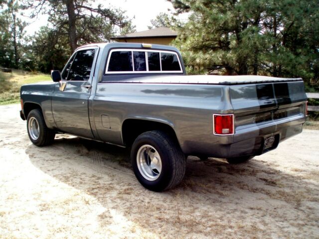 1976 Chevrolet C/K Pickup 1500 - photo 8