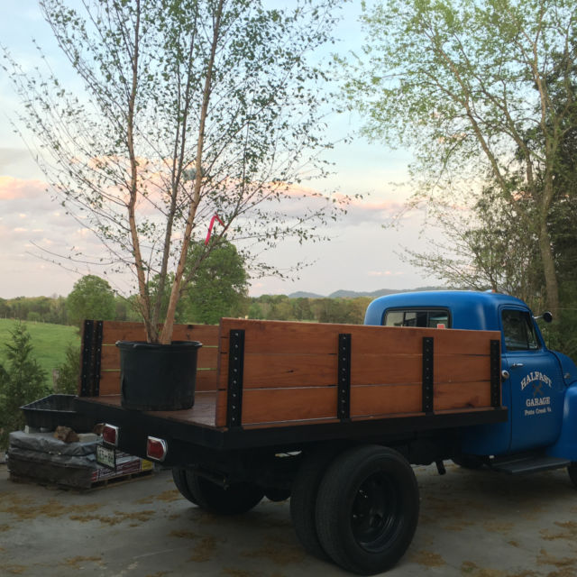 1954 Chevrolet Other Pickups - photo 4