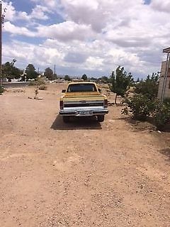 1983 Chevrolet Other Pickups