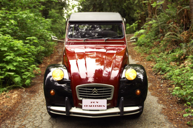 1982 Citroën AX 2cv Charleston - photo 6