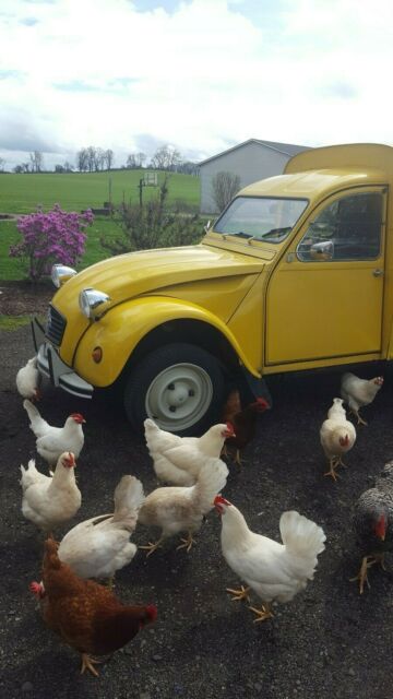 1971 Citroën AX AK truckette