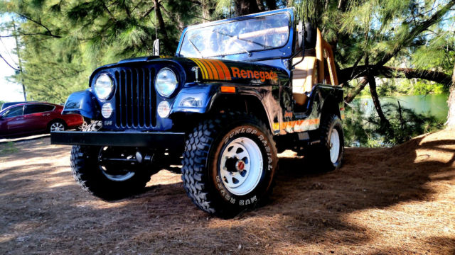 1977 Jeep CJ CJ5 - photo 3
