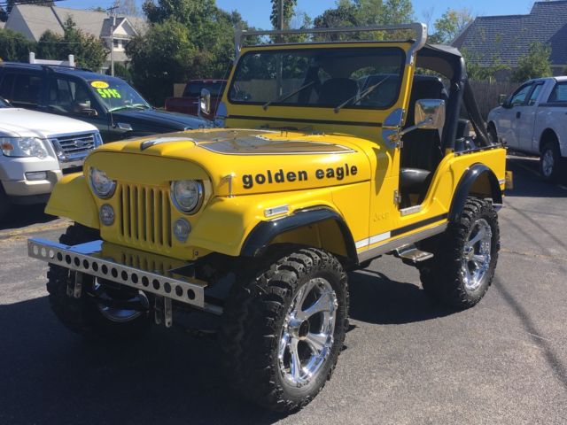 1976 Jeep Renegade Golden Eagle - photo 3