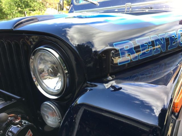 1981 Jeep CJ Renegade - photo 11