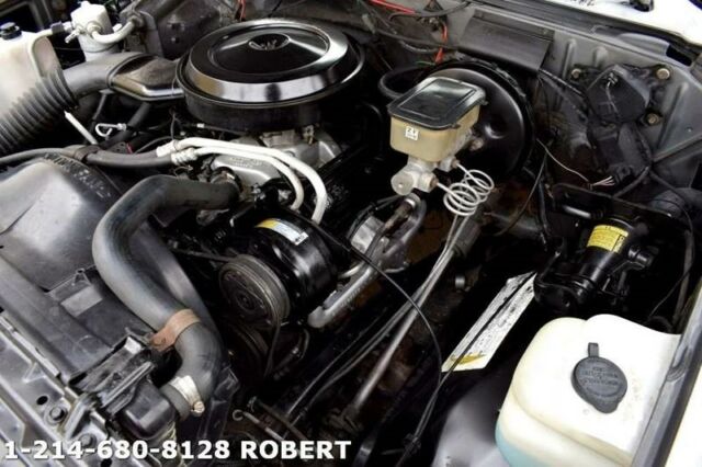 1987 Chevrolet Other Pickups R10 Silverado 2dr Standard Cab SB - photo 9