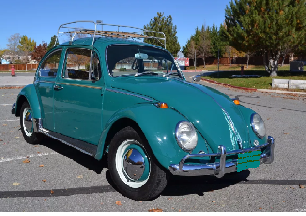 Classic 1965 Volkswagen Beetle / VW Bug LOWER ASK 1965 Volkswagen Beetle - Classic