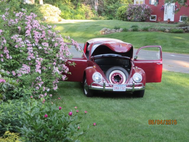 1965 Volkswagen Beetle - Classic - photo 4