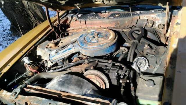 1972 Mercury Cougar Base Trim - photo 11