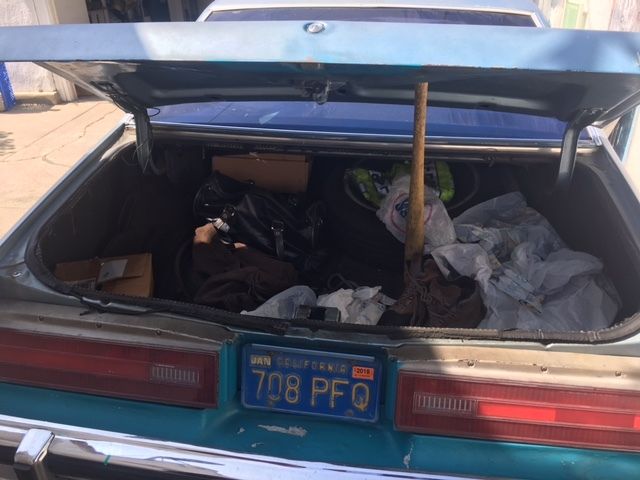 1976 Buick Skylark Blue - photo 4