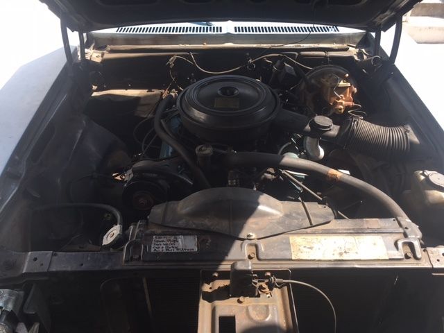 1976 Buick Skylark Blue - photo 6