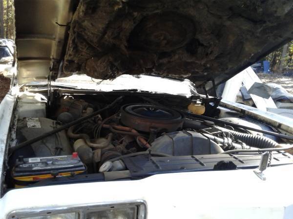 1977 Oldsmobile Other - photo 5