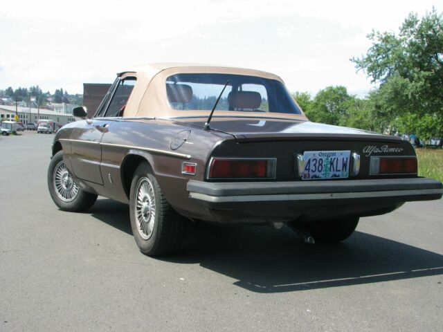 1978 Alfa Romeo Spider - photo 3