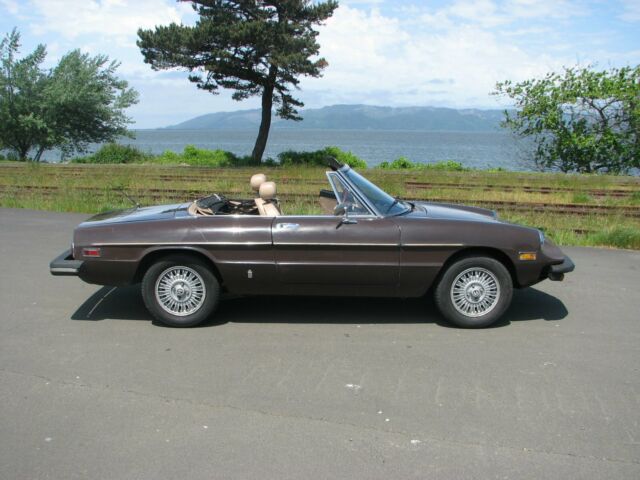1978 Alfa Romeo Spider - photo 9