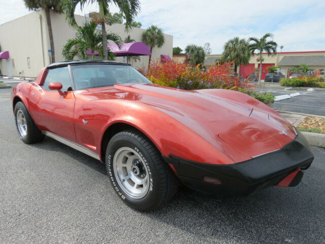1979 Chevrolet Corvette LEATHER - photo 2