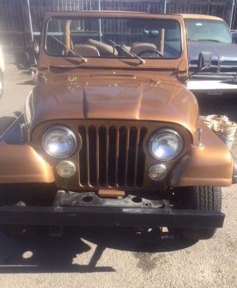 1979 Jeep CJ - photo 2