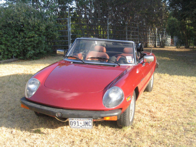 1981 Alfa Romeo Spider Veloce - photo 7