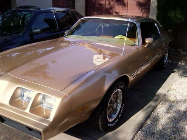 1981 Pontiac Firebird - photo 10