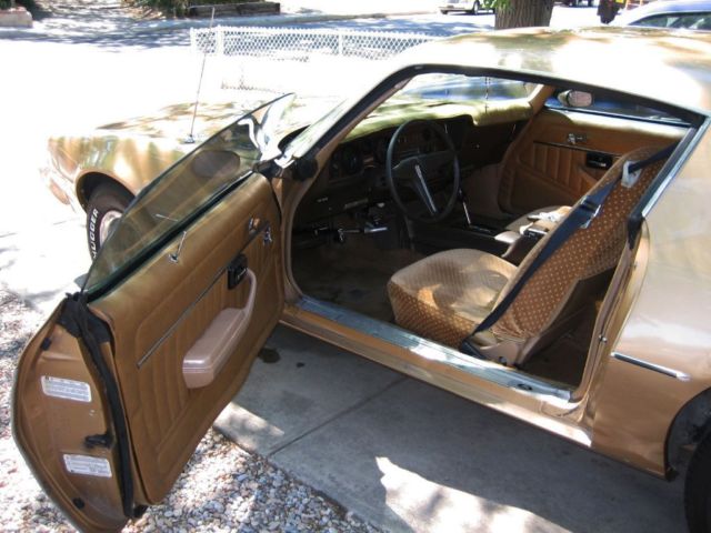 1981 Pontiac Firebird - photo 11
