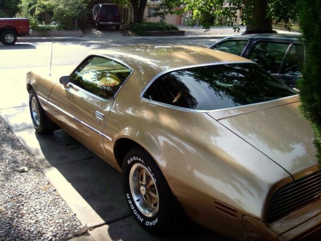 1981 Pontiac Firebird - photo 2