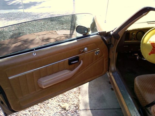 1981 Pontiac Firebird - photo 4