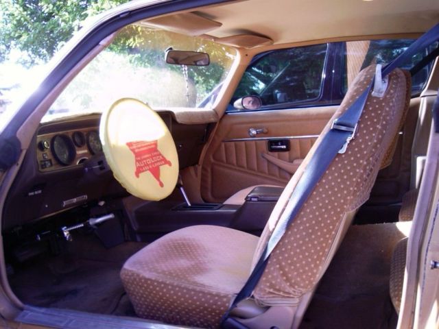 1981 Pontiac Firebird - photo 5