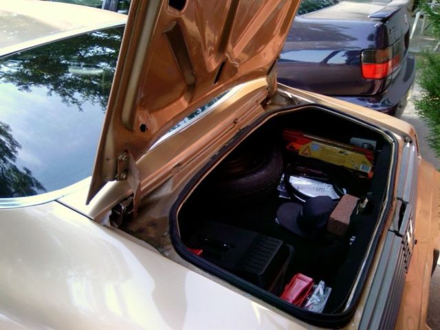 1981 Pontiac Firebird - photo 8